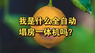 我是什么全自动塌房一体机是吗？