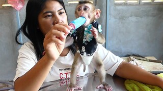 So Lovely Little Boy Maki Stand Eating Ice Cream Very ​delicious