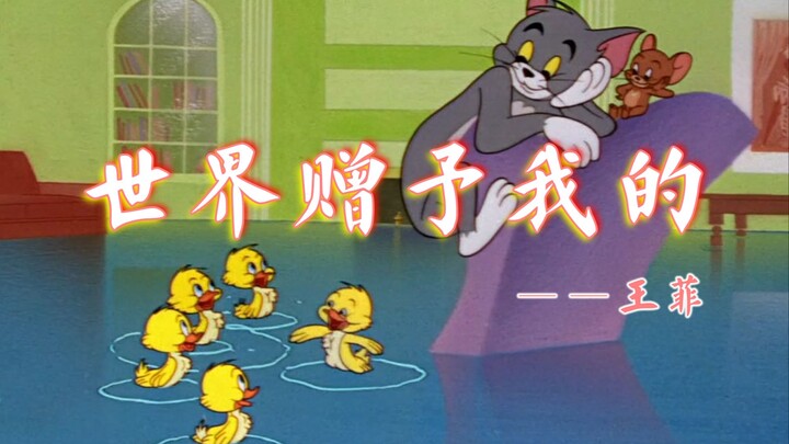 【猫和老鼠】世界赠予我的