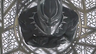 电影《黑豹》主演查德维克·博斯曼因病去世！太突然了！一路走好