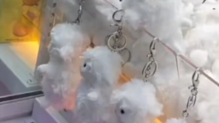 This kid has been smart since he was little.