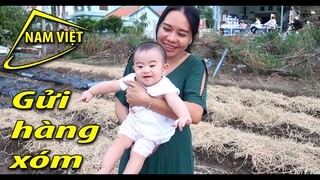 Gửi Sơn Hà cho hàng xóm - Nam Việt 1442