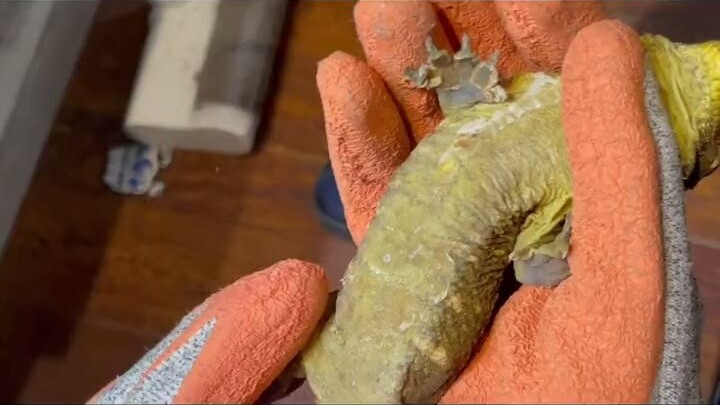 Lớp da già cỗi của người khổng lồ cũng đỉnh luôn!