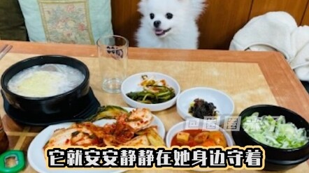 ดังนั้นโลกนี้จะหมุนต่อไปไม่ได้เลยถ้าไม่มีน้องหมาน่ารัก!