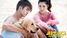 1. TITLE: Hero Dog Season 2 [2016]/Chinese Series Family-Friendly English Dubbed Episode 01 HD