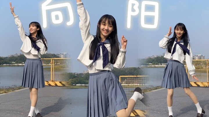 【喵东】新的一年，我们一起🌻向阳🌻前行！