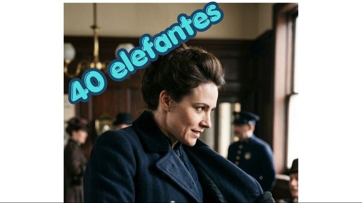 As 40 elefantes