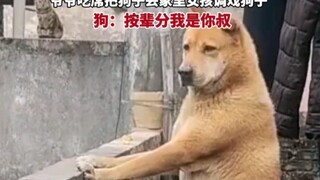 الجدّ ترك الكلب في المنزل أثناء حضوره الوليمة، فقامت الفتاة بمضايقة الكلب، فقال الكلب: "حسب التراتبي