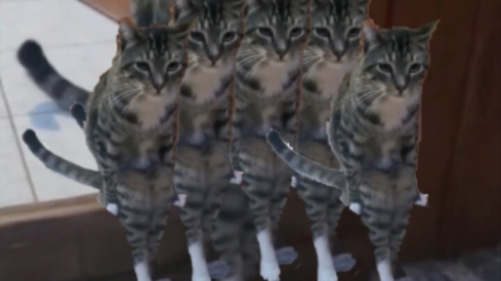 This smile wipes out all the merits