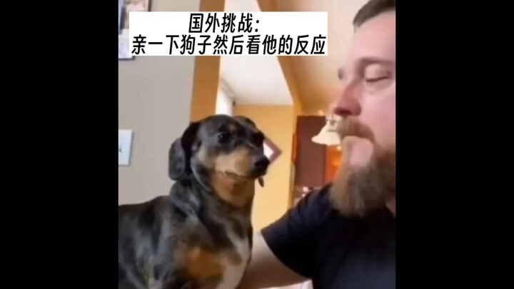 Dogs must be sent by God to mend the cracks in this world.