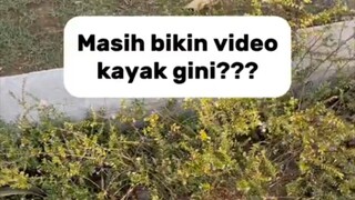 BIKIN VIDEO JGN GITU" AJA  COBAIN INI... #Shorts