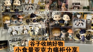 超适合小食量的桌上亚克力痛柜分享/谷子收纳展示好物