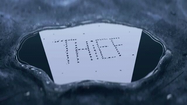 Thief!