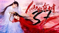 EP37 Love.of.the.Divine.Tree (2025)