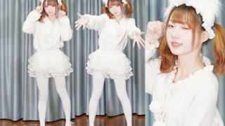 天呐～是谁家的纯白猫咪呀！