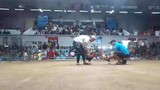 Pasay arena cock pit fastil kill 13. 58 sec