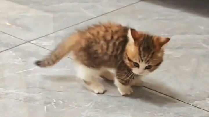 Done—raised a total rebel!