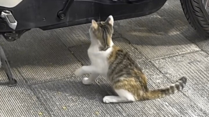 真可爱呀!忍不住画了两张暂不考虑接稿^O^