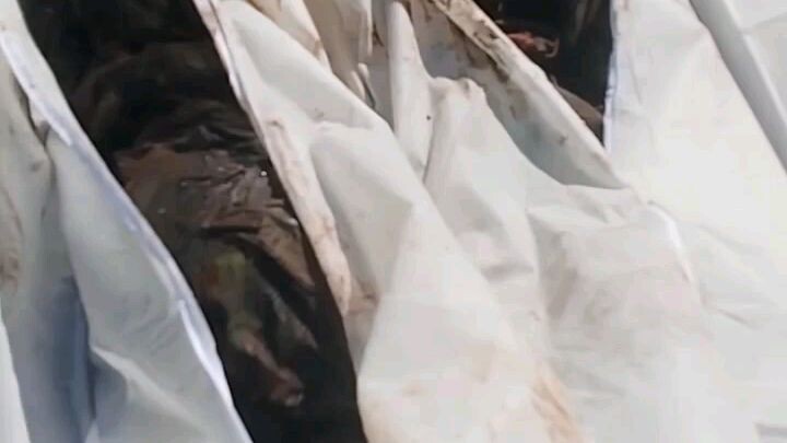 1 ม.ค. - ทหารกัมพูชาเข้าเก็บร่างทหารองครักษ์พิทักษ์ฮุนเซน (BHQ) หลังถูกปืนใหญ่ของฝ่ายไทยยิงโจมตี ก่อ