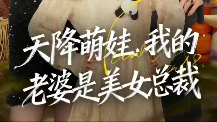 A Cute Baby Fell From The Sky, And My Wife is A Beautiful CEO (天降萌娃，我的老婆是美女总裁) (