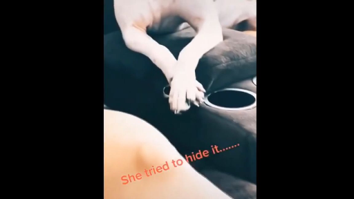 สัตเลี้ยงเจ้ามีสัตว์เลี้ยงที่มีปัญญา