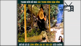 cuộc sống trong rừng p4