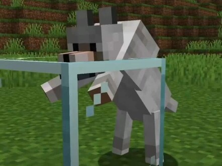 ฉันได้เพิ่มการผสมพันธุ์สุนัขลงใน มายคราฟ