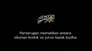 kodok vs tapak budha