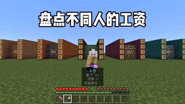 มายคราฟ สำรวจเงินเดือนของคนต่างๆ