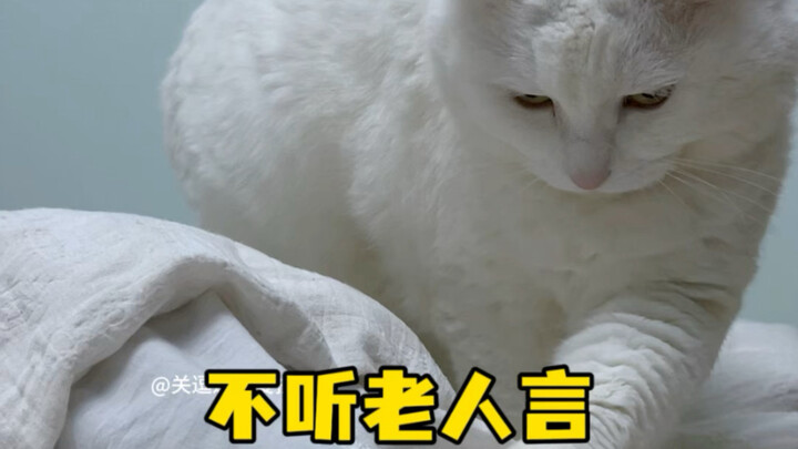 Don't listen to the elders' advice.