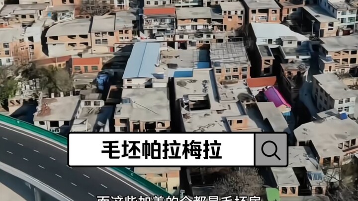 「毛坯房之帕拉梅拉」