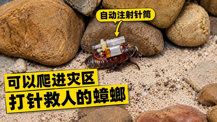 Australian scientists have fitted cockroaches with syringes to rescue people from rubble.