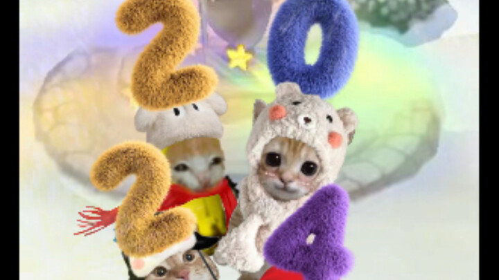 Cảm ơn mọi người đã đồng hành cùng Bao Bao qua bốn mùa năm 2023, sang năm 2024 chúng ta cũng hãy tiế