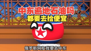 都要去中东，遍地有钱捡吗？【波兰球】