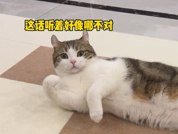 Is the name "power strip" really that strange??