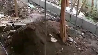 This Video was taken on January 17, 2023 ng tanghali ( Part 1 )