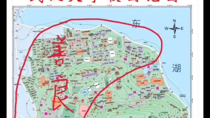 Justice Strikes! Wuhan University Students Are Now Squabbling Internally to Salvage Their Reputation