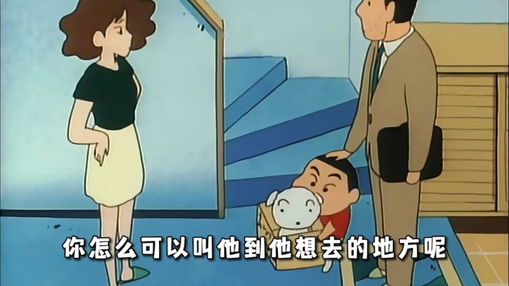 怪不得小白对小新那么好，看完这集终于理解了