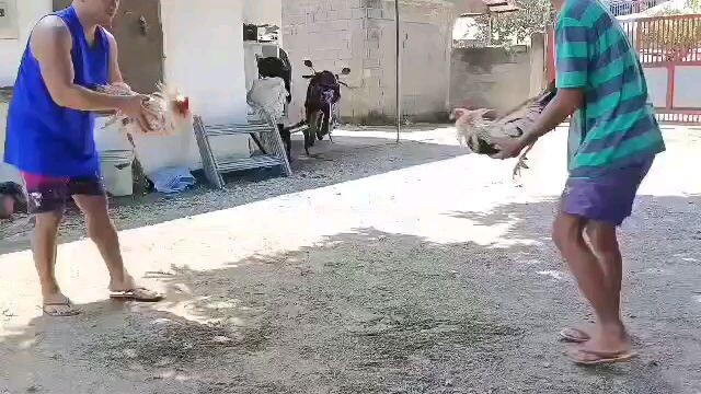 sparing kasama sa 3 brothers na grey... balik sa ina bread