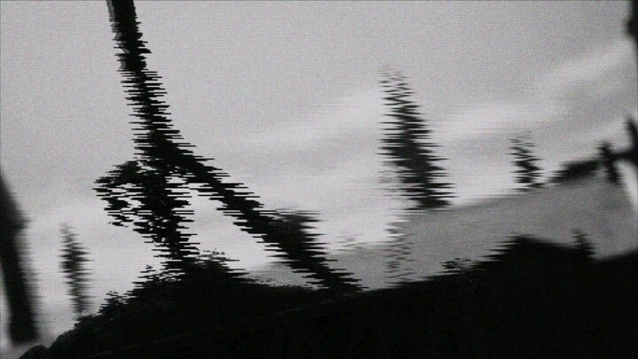 witch