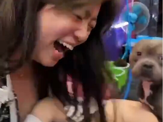 Men shouldn't keep cats; women shouldn't keep dogs.