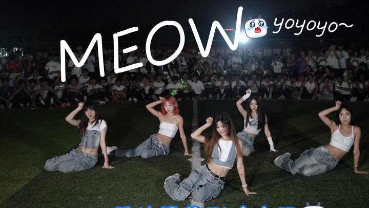 MEOW Military Training Roadshow｜The Military Training Master of Wushi welcomes the five cats