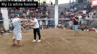 My 1x white hennie, di pinaporma kalaban. Walang sugat