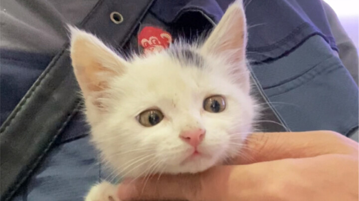 เจ้าตัวจิ๋วสีดำที่เดินมาหาเราเองช่างซุกซนน่ารักเป็นพิเศษ วันนี้เราจะพาเขาไปตรวจสุขภาพและถ่ายพยาธิที่