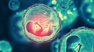 Future humans dislike Natural Reproduction, prefer Genetically Modified Babies