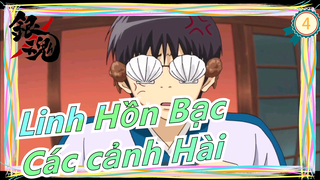 [Linh Hồn Bạc] Các cảnh Hài (35) - Sadaharu bỏ nhà ra đi tìm một chú cún con_4