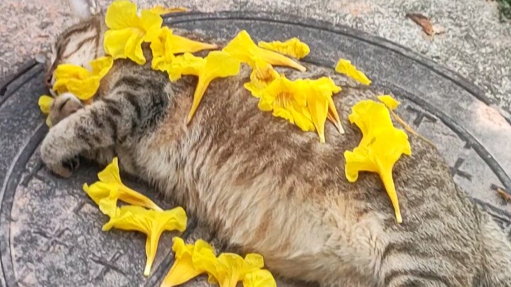 เพื่อน คุณไม่คิดจะตื่นสักหน่อยเหรอ?