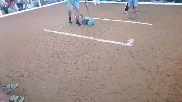 magic gray 3X winner