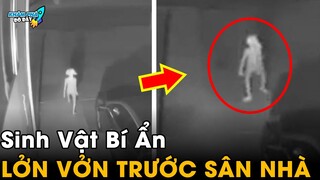 ✈️ 6 Hiện Tượng Bí Ẩn Và Kỳ Lạ Nhất Thế Giới Khiến Giới Khoa Học Cũng Phải Bó Tay | Khám Phá Đó Đây