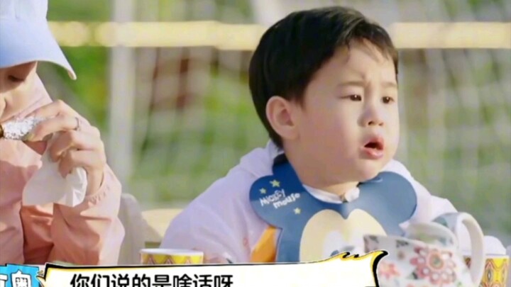 Lười Dương Dương: “Tiểu Bảo ơi~ Ồn quá Tiểu Bảo ơi~” Đứa ồn nhất lại chê đứa yên tĩnh nhất ồn!